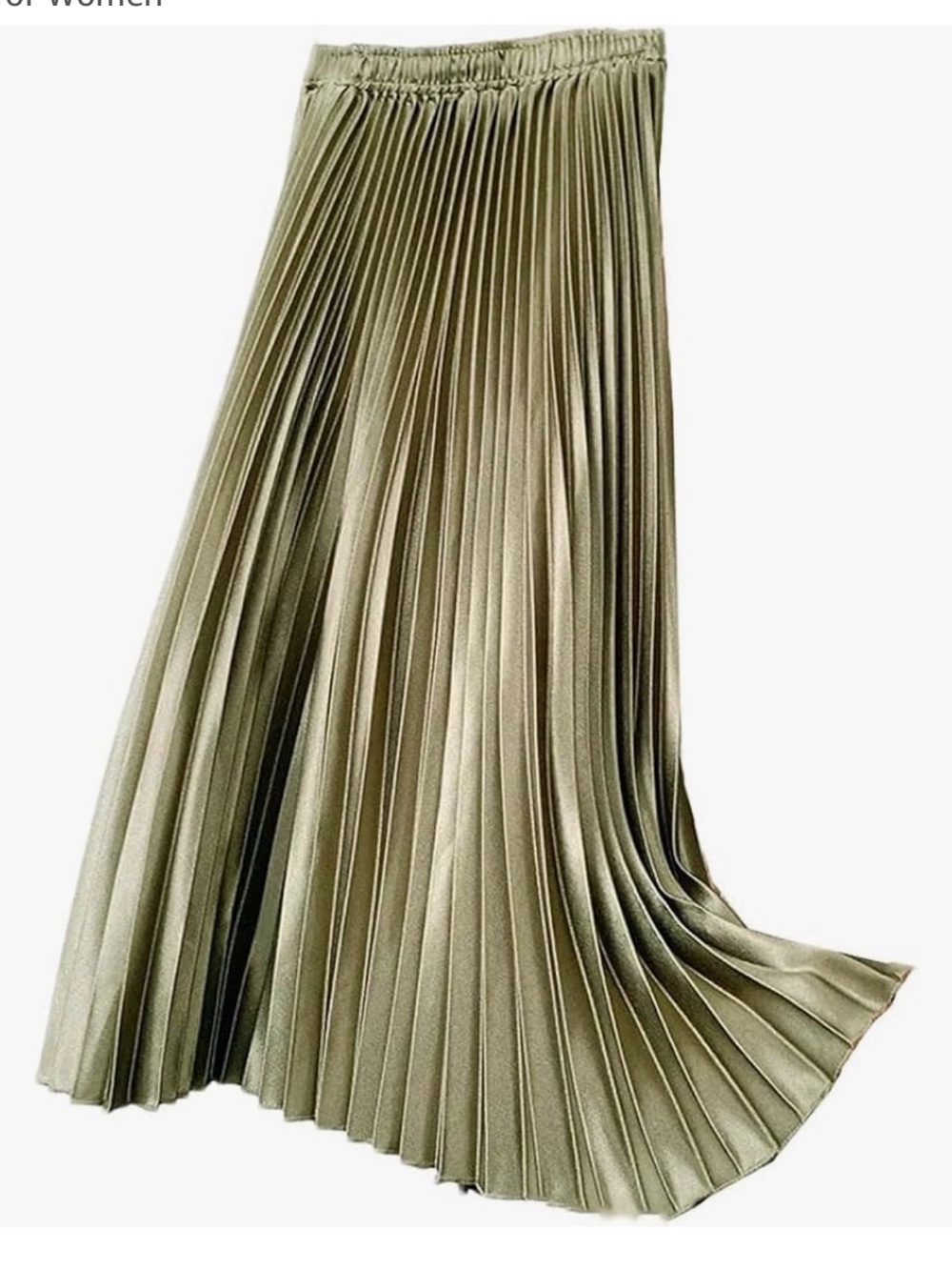 Dynamite Olive Green Pleated Maxi Skirt